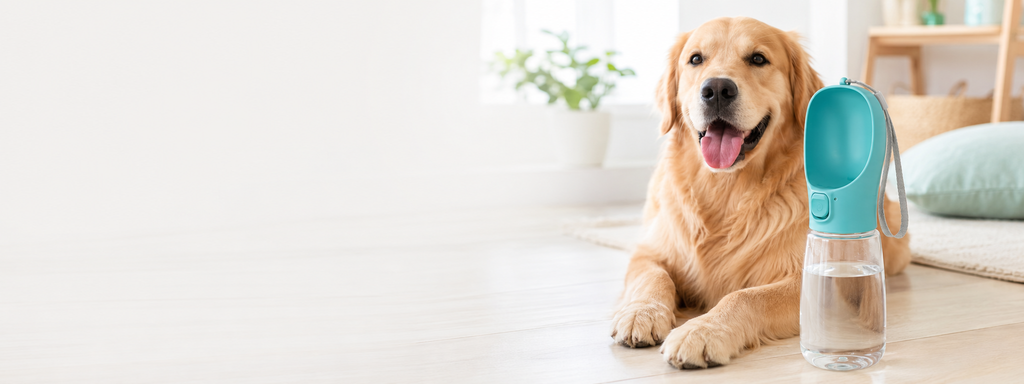 Kit HydraPet — Cuidado Completo para seu Pet.
