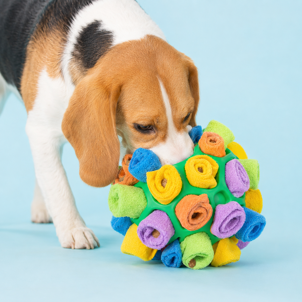 HydraPet Snuffle Ball™ — Interactive Sniff & Forage Dog Toy