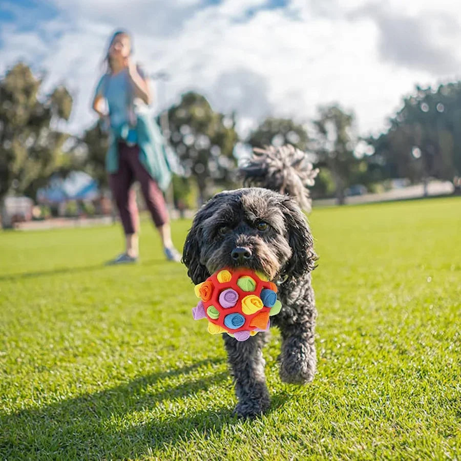 Bola De Snuffle De Brinquedo Para Cães Treinando O Senso De Cheiro Bola De Snuffle Interativa Portátil Para Forragem De Animais De Estimação Treinamento Instinto